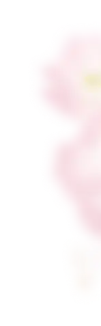kwiat